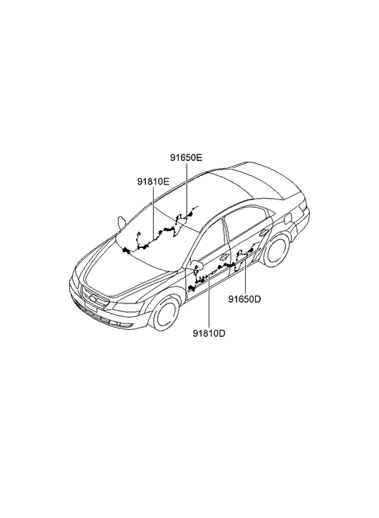 Hyundai 91650-0A010 Wiring Assembly-Rear Door LH