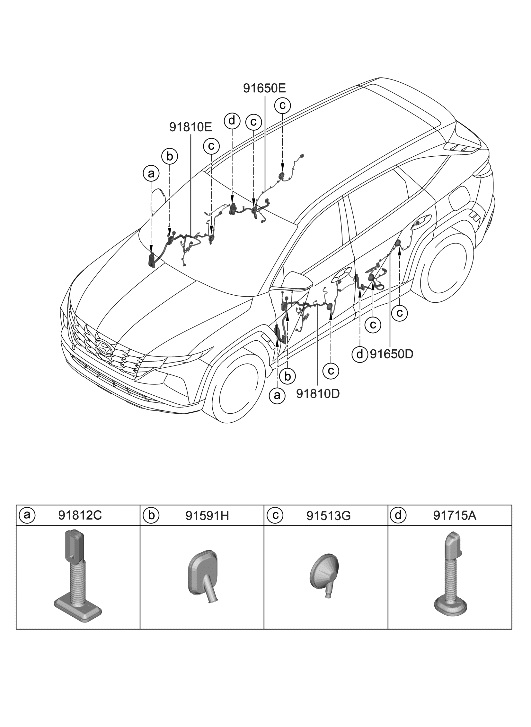 Hyundai 91630-CW040 Wiring Assembly-RR Dr RH