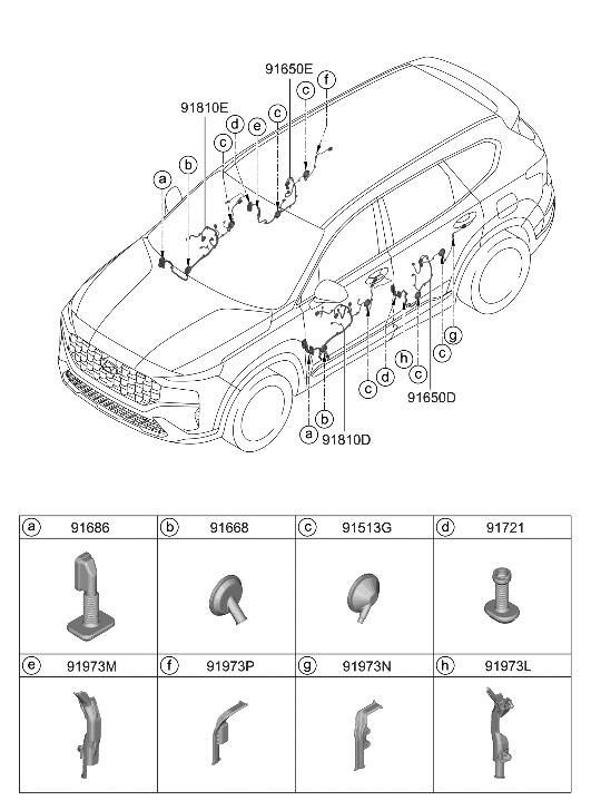 Hyundai 91630-GA030 WIRING ASSY-RR DR RH