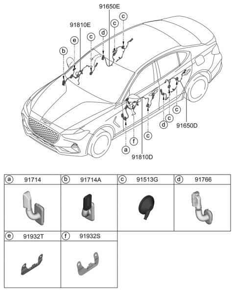 2020 Hyundai Genesis G70 Wiring Assembly-Rear Door RH Diagram for 91660-G9220