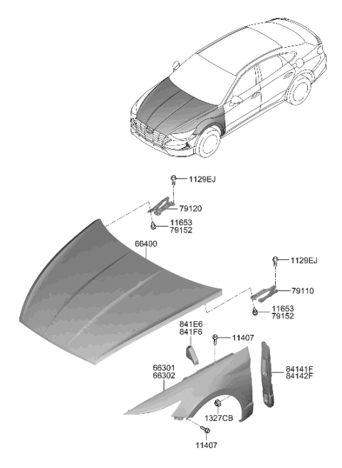 2020 Hyundai Sonata Fender & Hood Panel Diagram