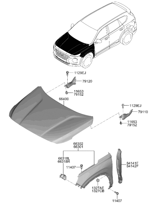 2020 Hyundai Santa Fe Fender & Hood Panel Diagram