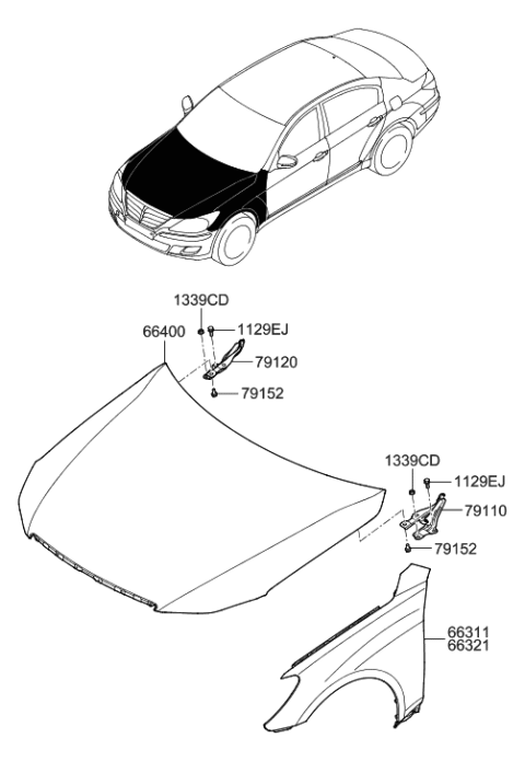 2014 Hyundai Genesis Old Body Style Fender & Hood Panel Diagram