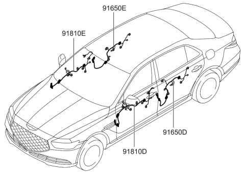 2022 Hyundai Genesis G90 WIRING ASSY-RR DR LH Diagram for 91655-D2020