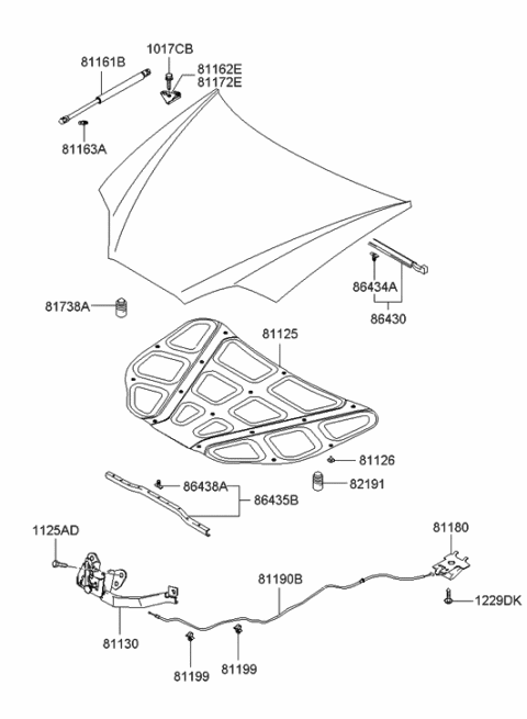 2006 Hyundai Tiburon New Body Style Hood Trim Diagram