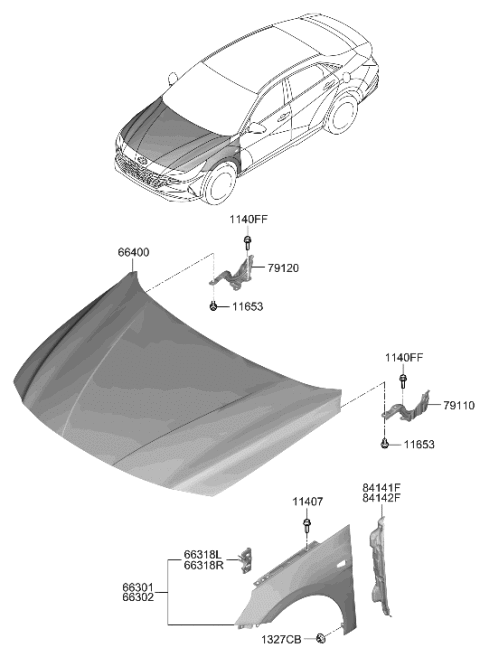 2021 Hyundai Elantra Fender & Hood Panel Diagram