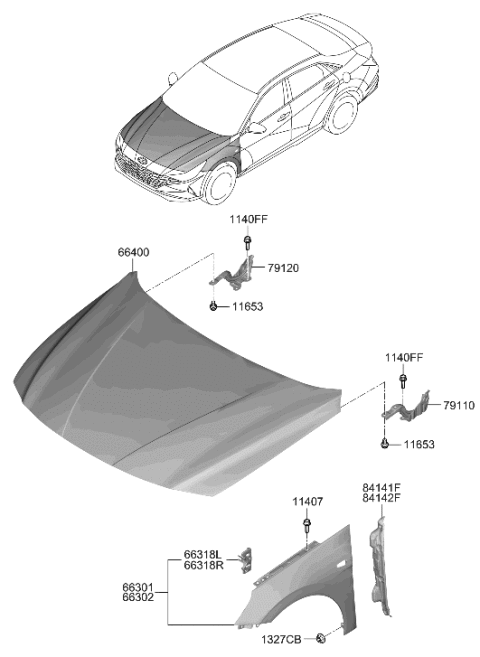 2023 Hyundai Elantra Korean made Fender & Hood Panel Diagram