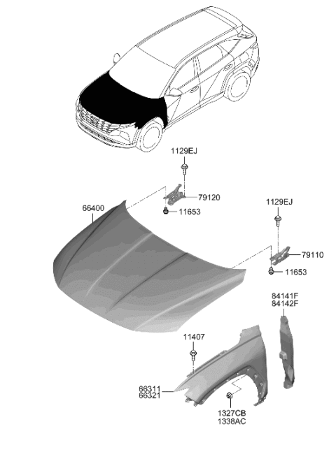 2023 Hyundai Tucson Insulator-Fender LH Diagram for 84116-CW000