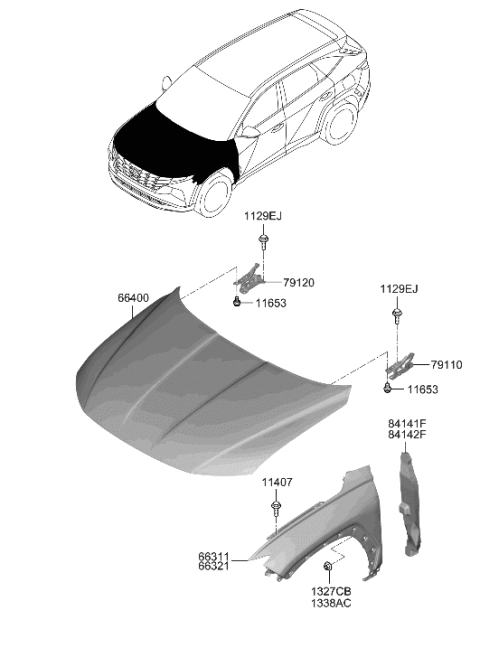 2006 Hyundai Elantra Panel Assembly-Hood Diagram for 66400-CW000