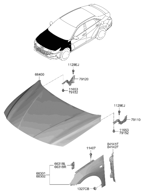2023 Hyundai Elantra Panel Assembly-Fender,LH Diagram for 66310-AA000