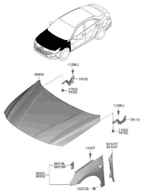 2021 Hyundai Elantra Fender & Hood Panel Diagram