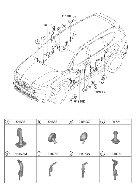 2023 Hyundai Santa Fe Hybrid US Alabama made Door Wiring Diagram 1