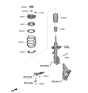 Diagram for 2020 Hyundai Palisade Bump Stop - 54625-S1000