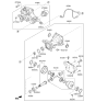 Diagram for Hyundai Differential Bearing - 53066-4G500