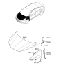 Diagram for 2013 Hyundai Elantra Hood - 66400-3Y000