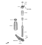 Diagram for 2022 Hyundai Tucson Coil Springs - 55330-N9AC0