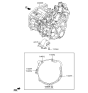 Diagram for 2019 Hyundai Sonata Engine Mount Torque Strut - 43176-2D022