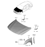 Diagram for Hyundai Hood Hinge - 66910-AA000