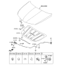 Diagram for 2013 Hyundai Azera Lift Support - 81161-3V000