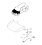 Diagram for Hyundai Veracruz Hood Hinge - 79110-3J000