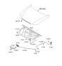 Diagram for 2008 Hyundai Azera Lift Support - 81161-3L001