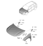 Diagram for Hyundai Nexo Hood Hinge - 66910-M5000