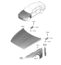 Diagram for Hyundai Genesis G80 Hood Hinge - 66910-T1000