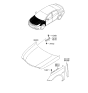 Diagram for 2011 Hyundai Sonata Hood - 66400-3Q000