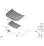 Diagram for 2022 Hyundai Elantra Hood Cable - 81190-AA100