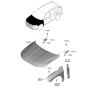 Diagram for Hyundai Hood - 66400-CW000