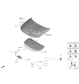 Diagram for 2023 Hyundai Tucson Lift Support - 81170-N9000