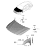 Diagram for Hyundai Hood Hinge - 66910-AB000