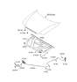 Diagram for Hyundai Azera Lift Support - 81161-3L000