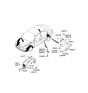 Diagram for 2006 Hyundai Accent Wheelhouse - 86811-1E000