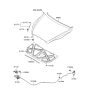 Diagram for 2005 Hyundai Accent Hood Latch - 81130-1G000