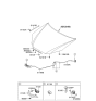 Diagram for 2008 Hyundai Genesis Coupe Hood Latch - 81130-2M000