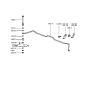 Diagram for 1992 Hyundai Excel Sway Bar Kit - 54812-24000