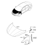 Diagram for Hyundai Hood Hinge - 79110-3X000