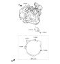 Diagram for 2016 Hyundai Veloster Engine Mount Torque Strut - 43176-2D031