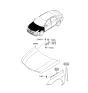 Diagram for Hyundai Hood Hinge - 79120-3S000