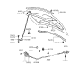 Diagram for 2000 Hyundai Elantra Hood Latch - 81130-29000