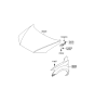 Diagram for 2007 Hyundai Santa Fe Hood - 66400-0W001