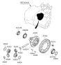 Diagram for 2011 Hyundai Santa Fe Differential - 43322-24705