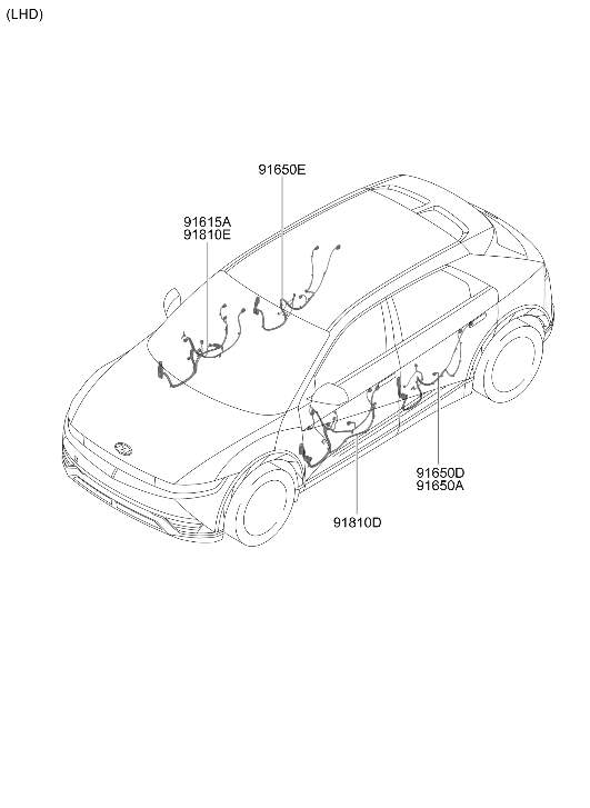916C3-GI011 Hyundai WIRING HARNESS-ASS DR