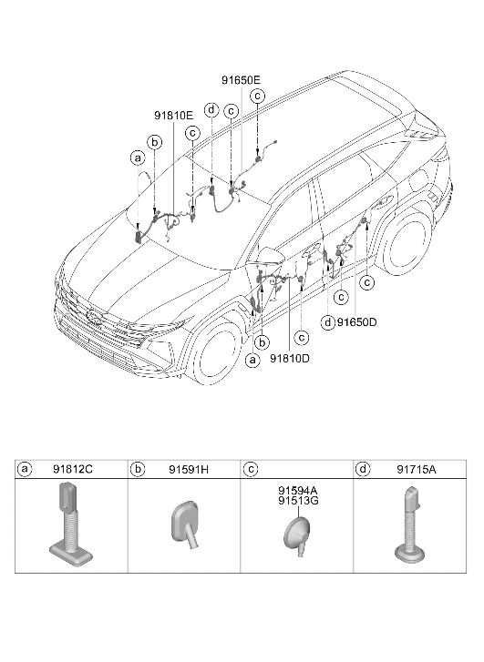 916J0-CW060 Hyundai Wiring Assembly Front Driver