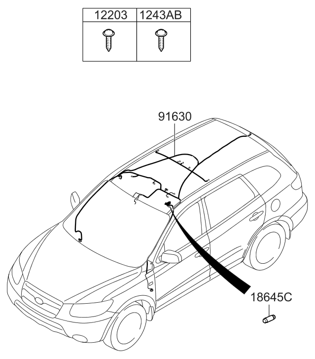 91800-0W080 Hyundai Wiring Assembly Roof