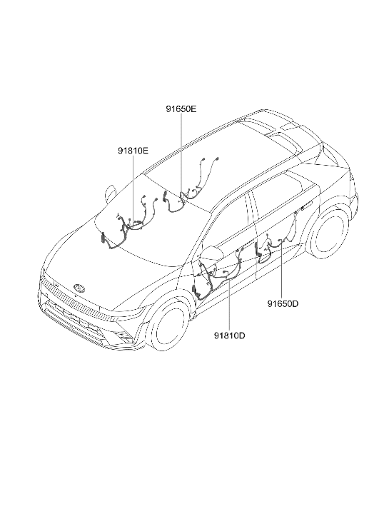 Hyundai 91610-NI030 Front Door Wiring Assembly (Passenger) 91610-NI030 Hyundai Front Door Wiring Assembly (Passenger)