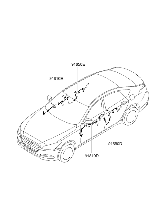 91600-B1210 Hyundai Wiring Assembly Front Door (Driver)