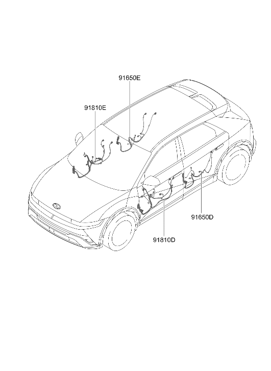 91600-PI280 Hyundai Wiring Assembly Front Driver