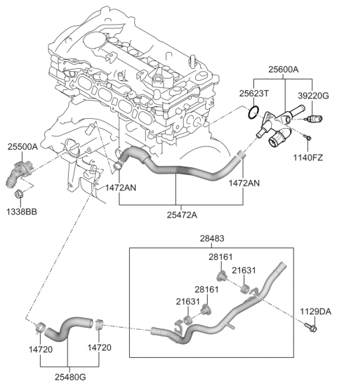 2021 Hyundai Veloster Coolant Pipe & Hose Diagram 2
